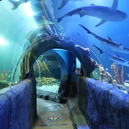 Appartement Urban Retreat *