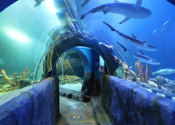 Apartamento Urban Retreat *